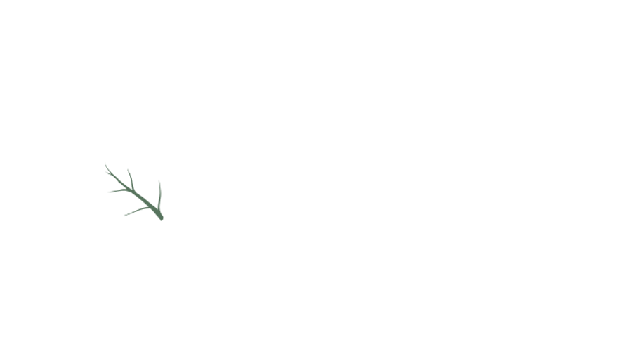 The RiverArch Hotel