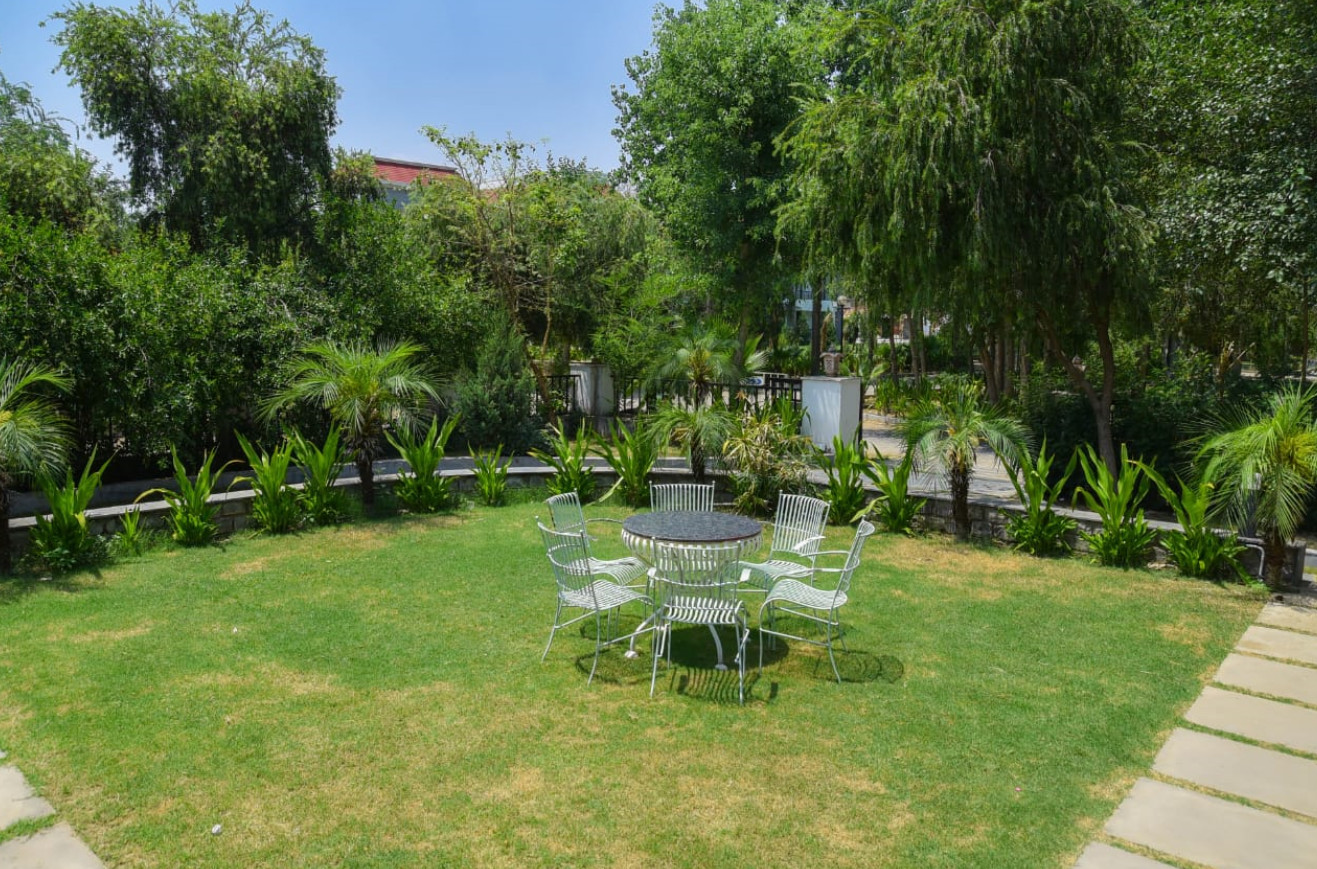garden