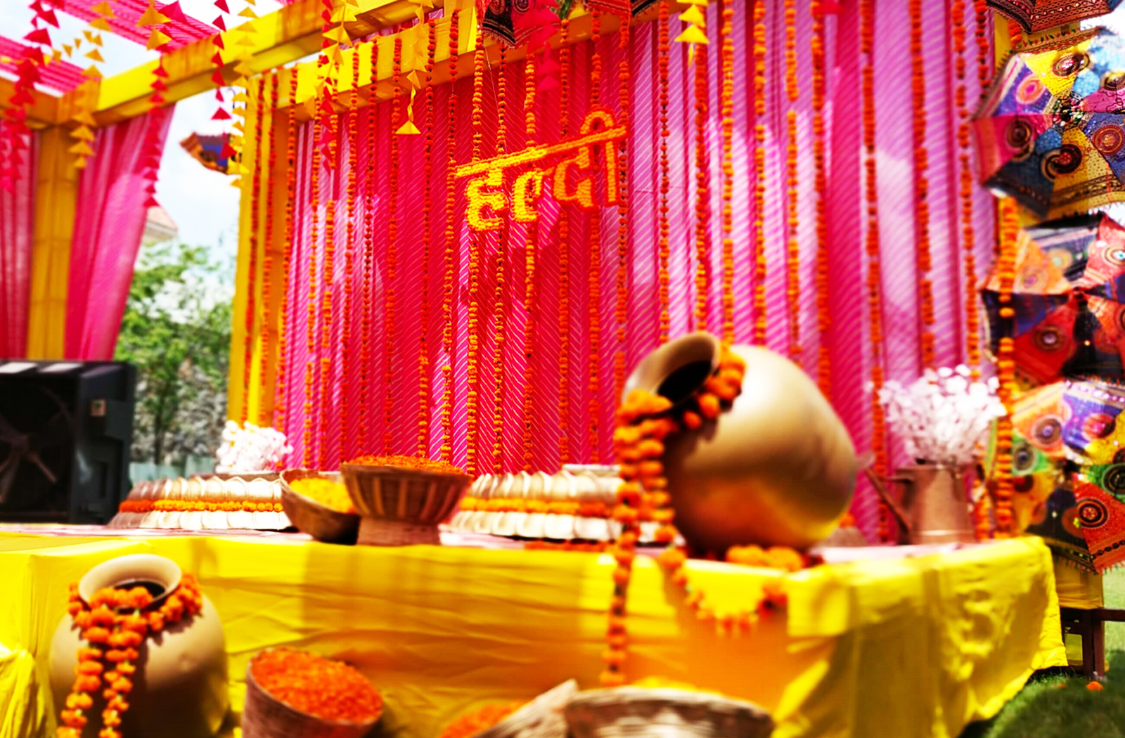 Wedding Haldi